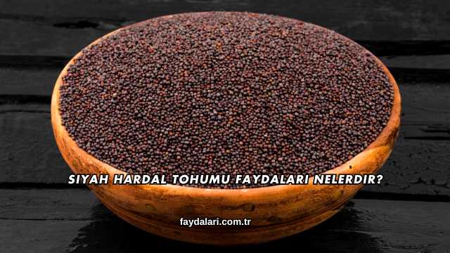 Siyah Hardal Tohumu Faydaları Nelerdir?
