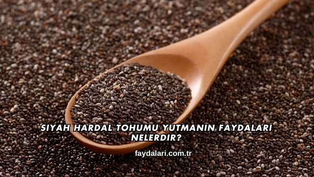 Siyah Hardal Tohumu Yutmanın Faydaları Nelerdir?