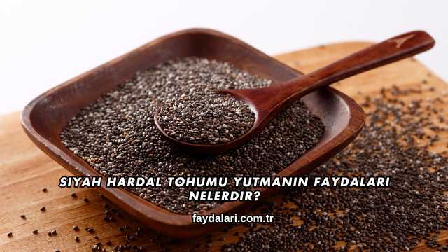 Siyah Hardal Tohumu Yutmanın Faydaları Nelerdir?