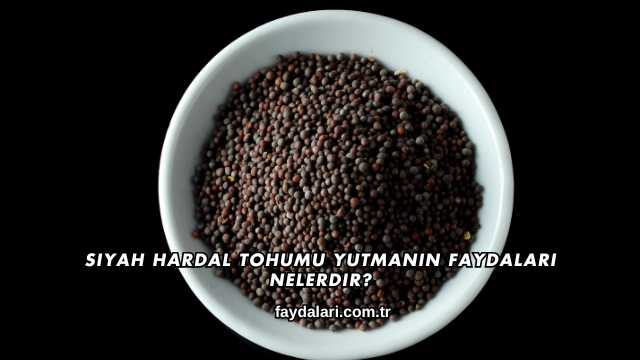 Siyah Hardal Tohumu Yutmanın Faydaları Nelerdir?
