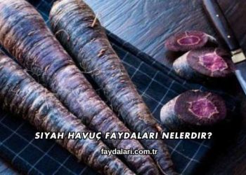 Siyah Havuç Faydaları Nelerdir?