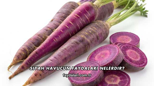 Siyah Havucun Faydaları Nelerdir?