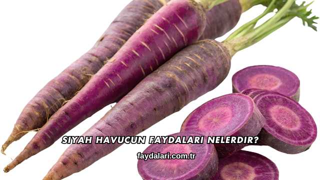 Siyah Havucun Faydaları Nelerdir?