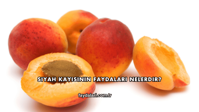 Siyah Kayısının Faydaları Nelerdir?