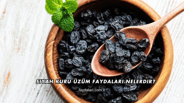 Siyah Kuru Üzüm Faydaları Nelerdir?
