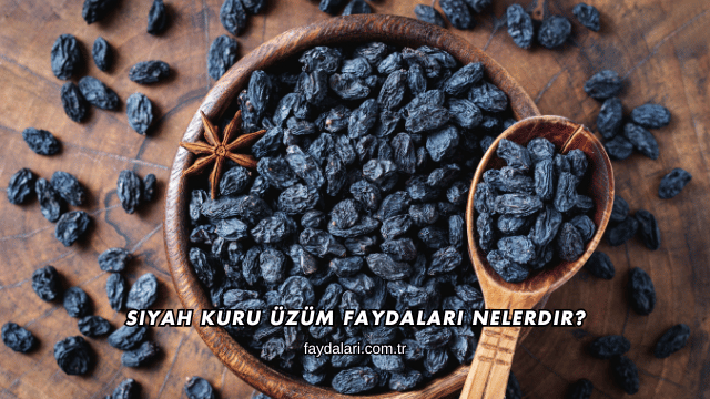 Siyah Kuru Üzüm Faydaları Nelerdir?