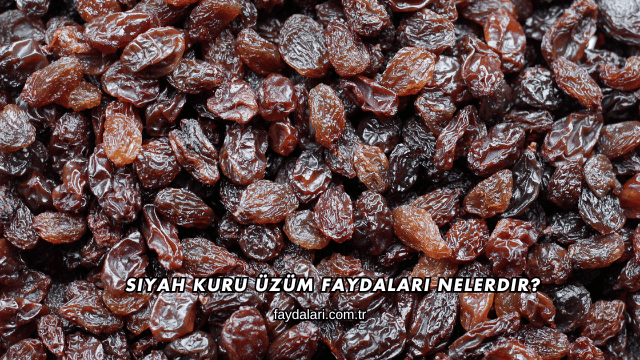 Siyah Kuru Üzüm Faydaları Nelerdir?