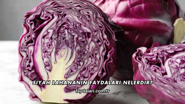Siyah Lahananın Faydaları Nelerdir?