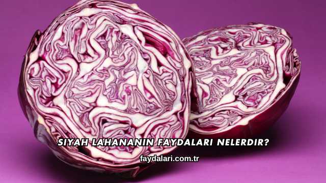 Siyah Lahananın Faydaları Nelerdir?