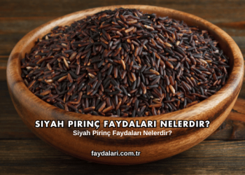 Siyah Pirinç Faydaları Nelerdir?