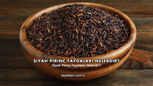 Siyah Pirinç Faydaları Nelerdir?