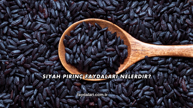 Siyah Pirinç Faydaları Nelerdir?