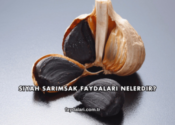 Siyah Sarımsak Faydaları Nelerdir?