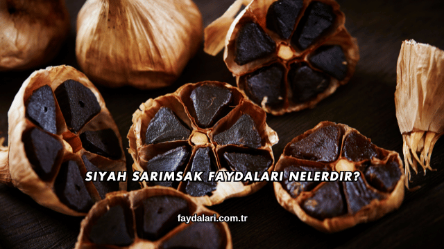 Siyah Sarımsak Faydaları Nelerdir?