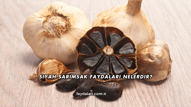 Siyah Sarımsak Faydaları Nelerdir?