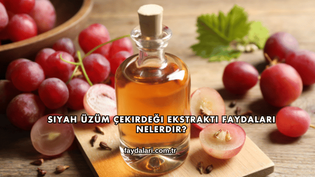 Siyah Üzüm Çekirdeği Ekstraktı Faydaları Nelerdir?
