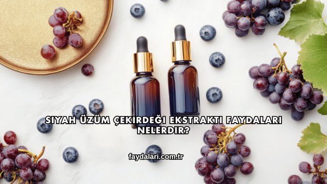 Siyah Üzüm Çekirdeği Ekstraktı Faydaları Nelerdir?