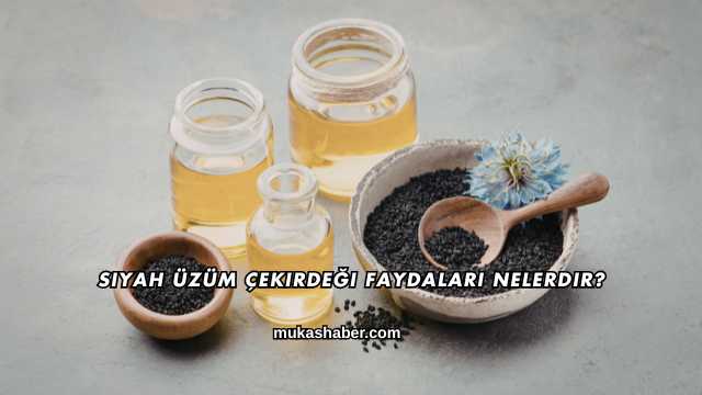 Siyah Üzüm Çekirdeği Faydaları Nelerdir?