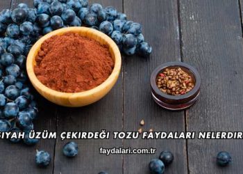 Siyah Üzüm Çekirdeği Tozu Faydaları Nelerdir?