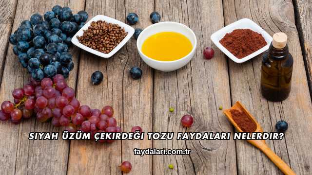 Siyah Üzüm Çekirdeği Tozu Faydaları Nelerdir?