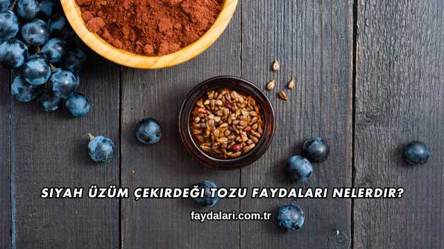Siyah Üzüm Çekirdeği Tozu Faydaları Nelerdir?
