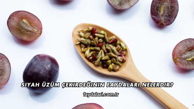 Siyah Üzüm Çekirdeğinin Faydaları Nelerdir?