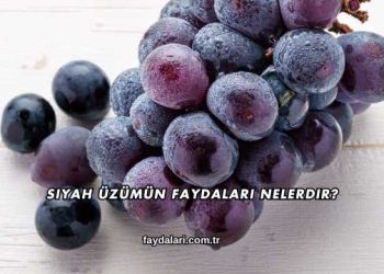 Siyah Üzümün Faydaları Nelerdir?