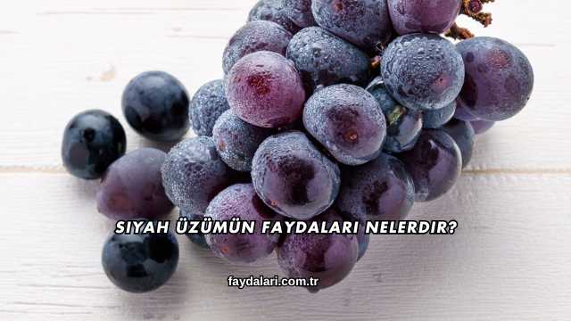 Siyah Üzümün Faydaları Nelerdir?