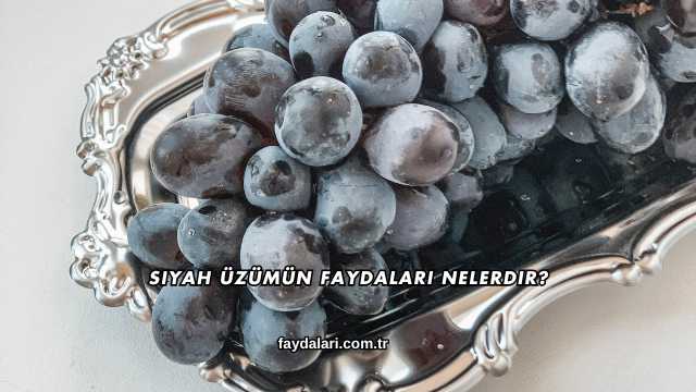Siyah Üzümün Faydaları Nelerdir?