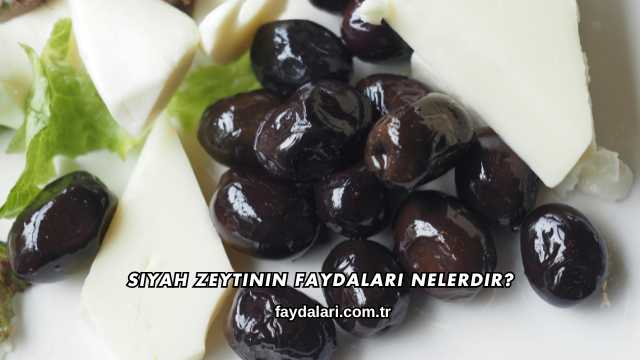 Siyah Zeytinin Faydaları Nelerdir?