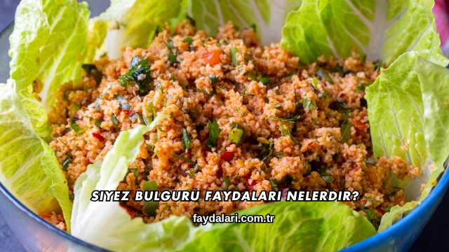 Siyez Bulguru Faydaları Nelerdir?