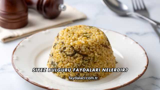 Siyez Bulguru Faydaları Nelerdir?