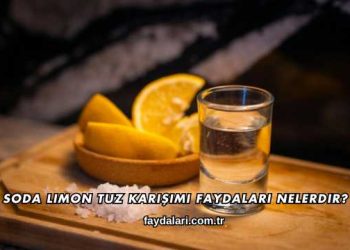 Soda Limon Tuz Karışımı Faydaları Nelerdir?