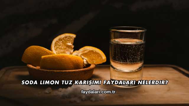 Soda Limon Tuz Karışımı Faydaları Nelerdir?