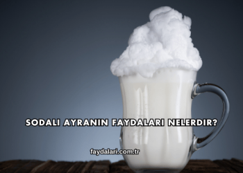 Sodalı Ayranın Faydaları Nelerdir?