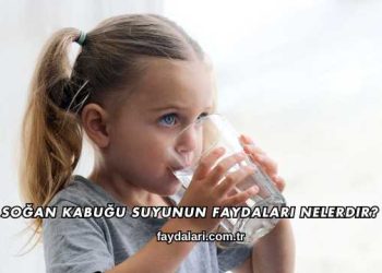 Soğan Kabuğu Suyunun Faydaları Nelerdir?