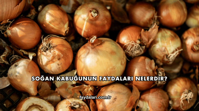 Soğan Kabuğunun Faydaları Nelerdir?