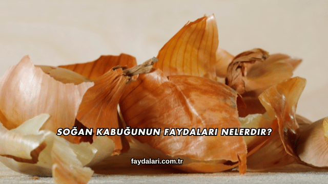 Soğan Kabuğunun Faydaları Nelerdir?