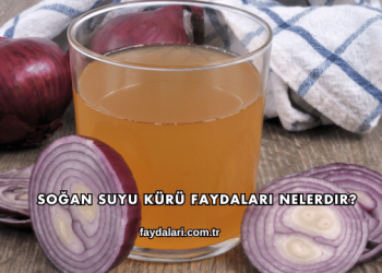 Soğan Suyu Kürü Faydaları Nelerdir?