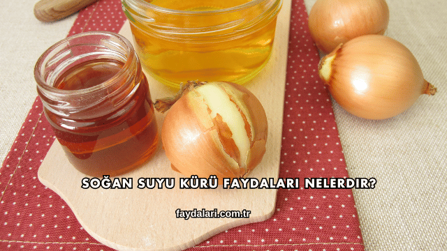 Soğan Suyu Kürü Faydaları Nelerdir?