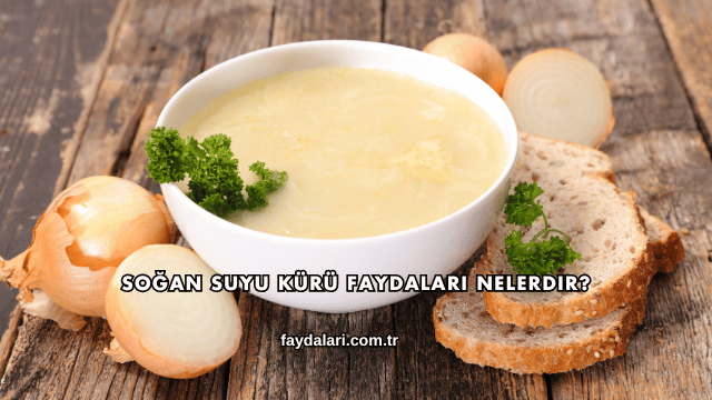 Soğan Suyu Kürü Faydaları Nelerdir?