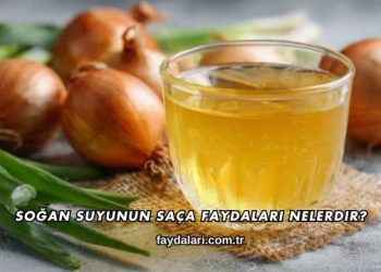 Soğan Suyunun Saça Faydaları Nelerdir?