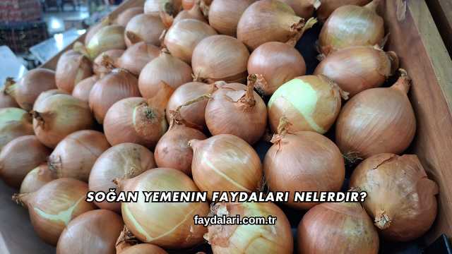 Soğan Yemenin Faydaları Nelerdir?