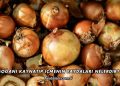 Soğanı Kaynatıp İçmenin Faydaları Nelerdir?