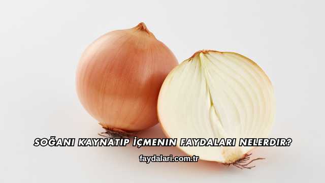 Soğanı Kaynatıp İçmenin Faydaları Nelerdir?