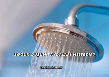 Soğuk Duşun Faydaları Nelerdir?