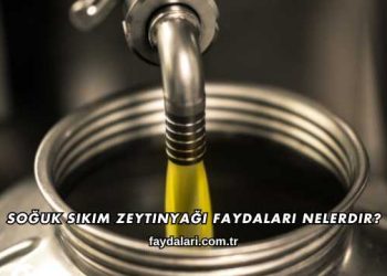 Soğuk Sıkım Zeytinyağı Faydaları Nelerdir?