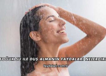 Soğuk Su ile Duş Almanın Faydaları Nelerdir?