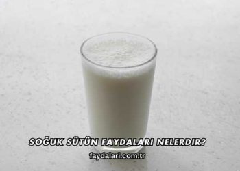 Soğuk Sütün Faydaları Nelerdir?