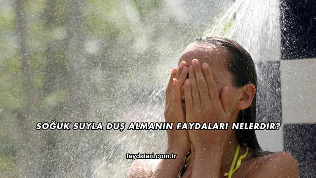 Soğuk Suyla Duş Almanın Faydaları Nelerdir?